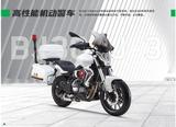 BJ-300-1.jpg